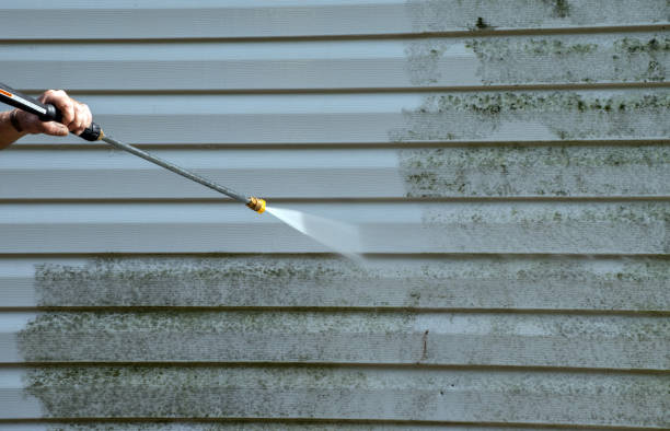 Attic Mold Removal in Mahnomen, MN
